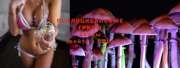 дживик Богданович