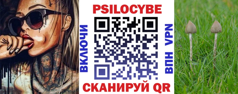 Псилоцибиновые грибы Cubensis  Купить  Волжск 